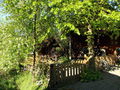 SH Schatten beim Teichhaus.JPG