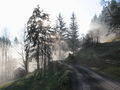 Vorschaubild der Version vom 24. Dezember 2015, 19:50 Uhr