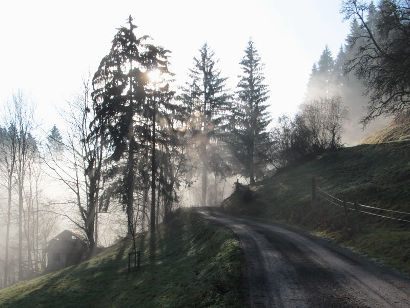Datei:Nebelidyll oberhalb Oachner Dez15.JPG