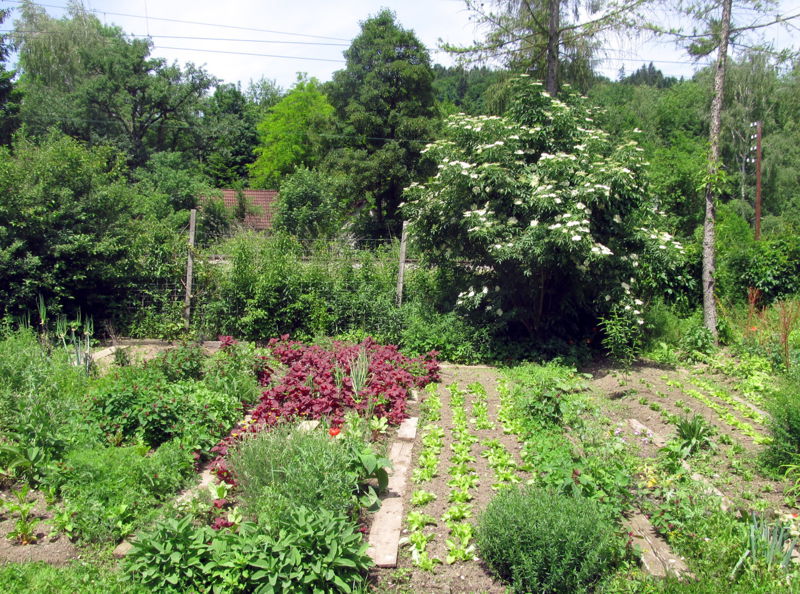 Datei:SG Prodgarten 2012 06.jpg
