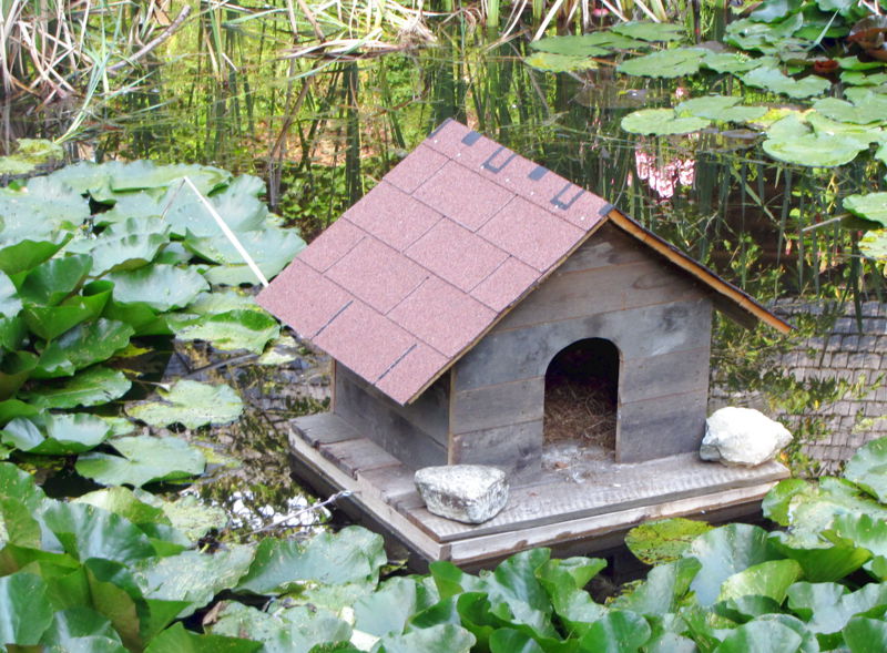 Datei:SG EntenhausSgbiotop.jpg