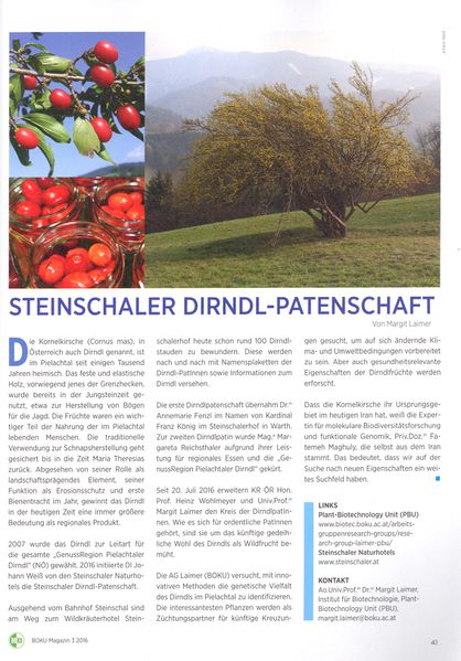 Datei:Dirndl Patenschaft BOKUMagazine.jpg