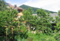 SH Südgarten Sommer 2009.jpg